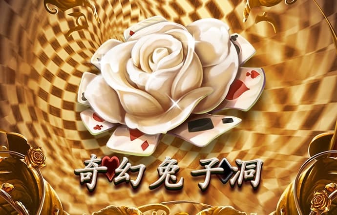 d3体育官网